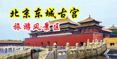 人人射网站中国北京-东城古宫旅游风景区